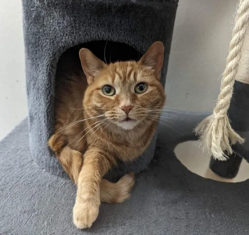 Стикер Pixelandsophie_stickers - 1