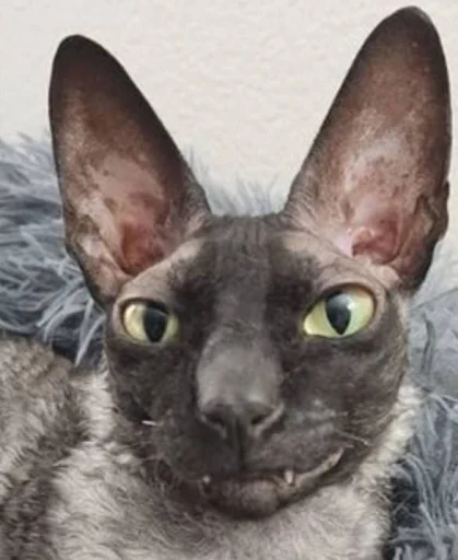 Sticker Pixelandsophie_stickers - 1