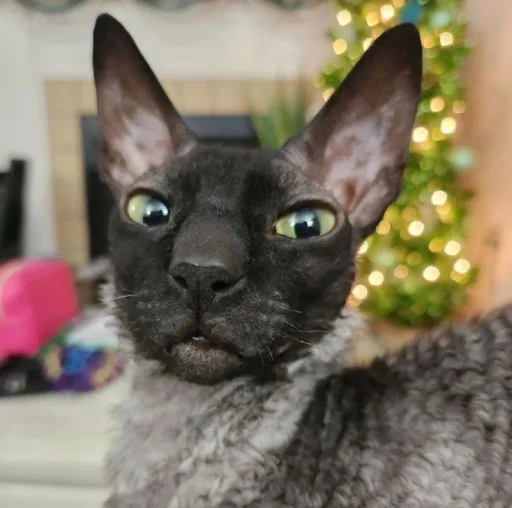 Sticker Pixelandsophie_stickers - 1