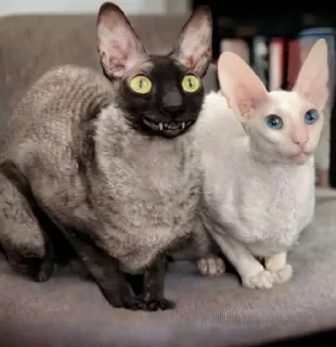 Sticker Пиксель крутышка. @pixelgifs - 2