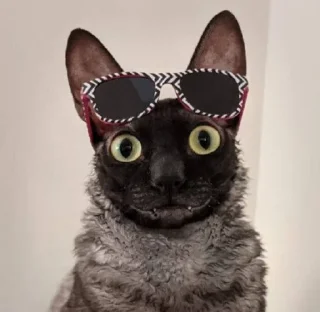 Sticker Пиксель крутышка. @pixelgifs - 0