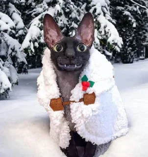 Sticker Пиксель крутышка. @pixelgifs - 10