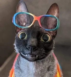 Sticker Пиксель крутышка. @pixelgifs - 4