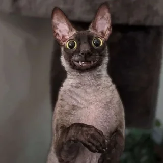 Sticker Пиксель крутышка. @pixelgifs - 3