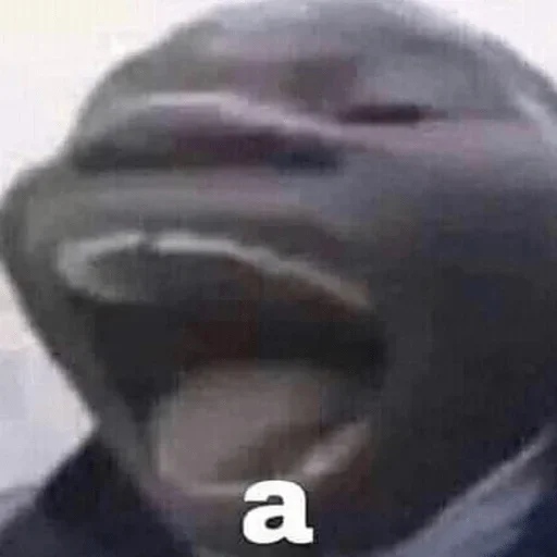 дельфин водные млекопитающие животное