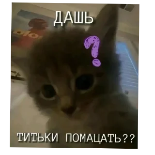 Sticker Пизда ириса - 0