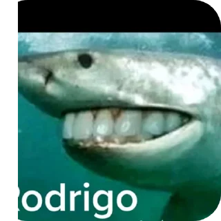 Sticker Pizdalis228666 - 7