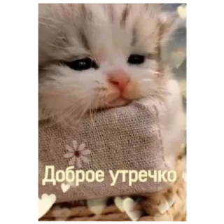 Sticker Пиздец - 3