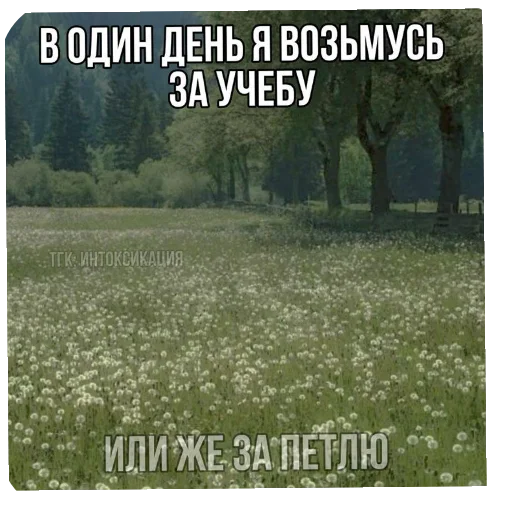 Sticker Pizdec2468 - 1