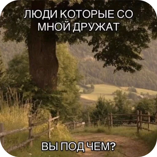 Sticker Pizdec2468 - 1