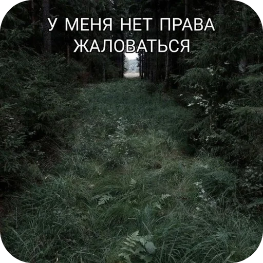 Sticker Pizdec2468 - 1