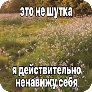 Sticker Я не знаю кто я...@TikkiTodii - 3