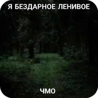 Sticker Я не знаю кто я...@TikkiTodii - 7