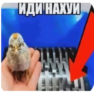 Sticker Пиздец какой то @tytyn_qq - 9