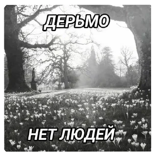 Sticker Пиздец какой то @tytyn_qq - 7