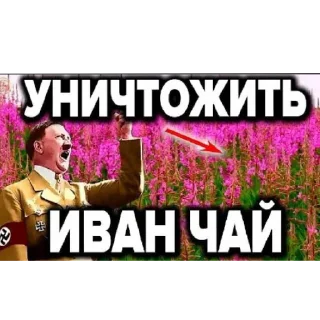 Sticker Пиздец какой то @tytyn_qq - 3