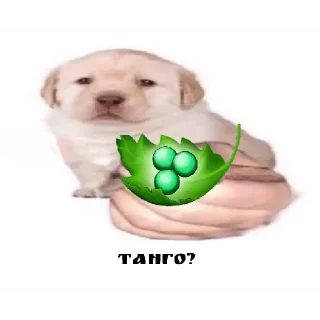 Стикер Ебанутся 2 - 3