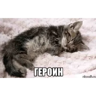 Стикер Ебанутся 2 - 0