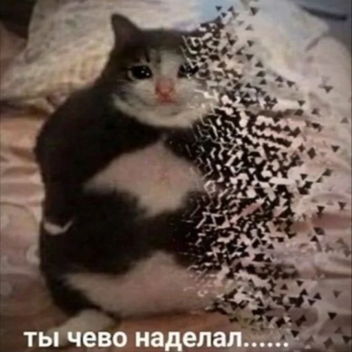 Стикер Pizdets_Mem_by_fStikBot - 1