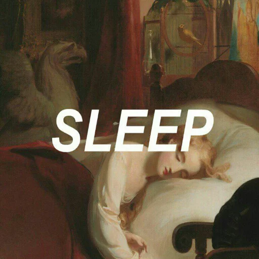 mammal indoor sleeping