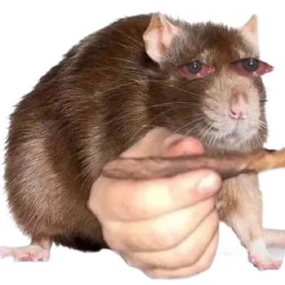 Sticker Pizdorezka - 2