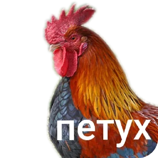 Sticker Pizdorezka - 4