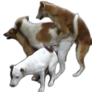 Sticker Pizdorezka - 8