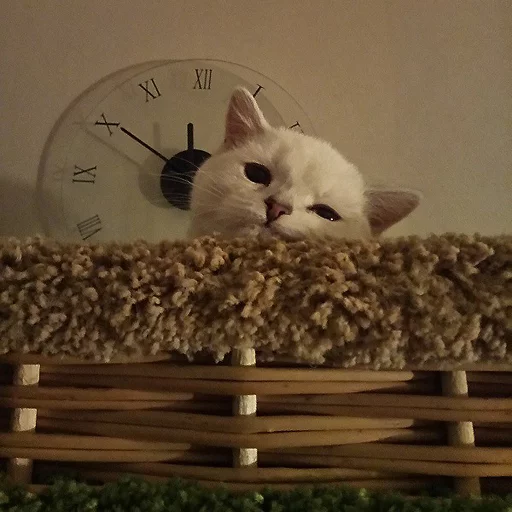 Стикер Pizdosya512 - 1