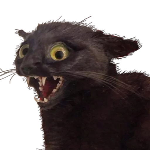 Стикер Pizdosya512 - 1