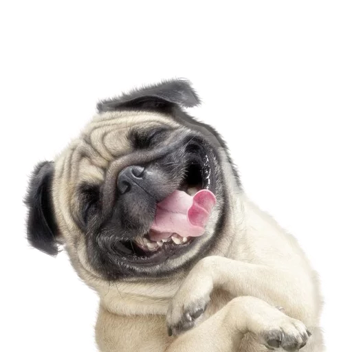 Sticker Pizdosya512 - 1