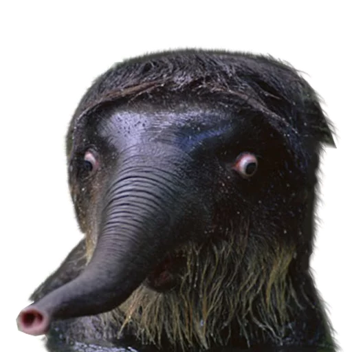 Sticker Pizdosya512 - 1