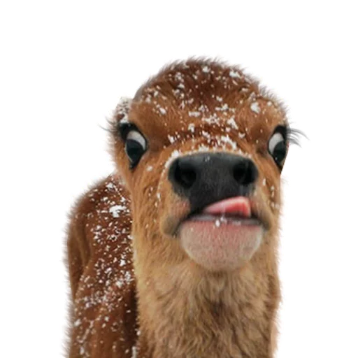 Sticker Pizdosya512 - 1