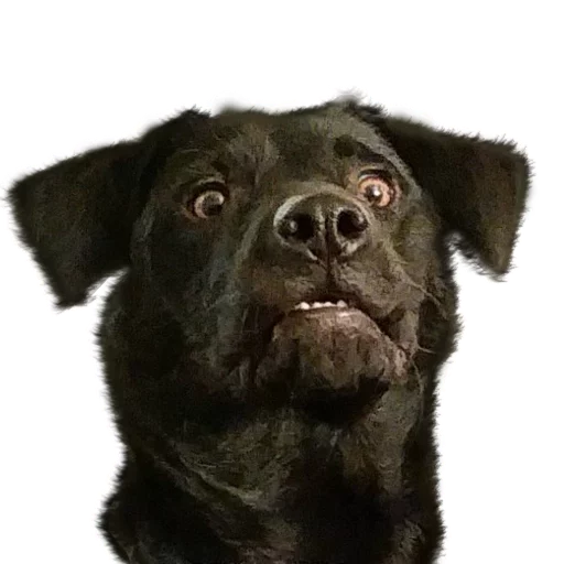 Sticker Pizdosya512 - 1