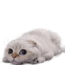 Стикер Pizdosya - 9