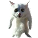 Стикер Pizdosya - 5