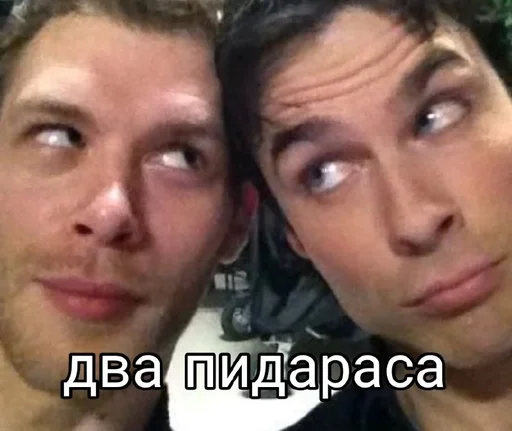 СМС человеческое лицо Человек