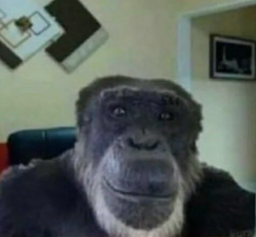 животное млекопитающее примат