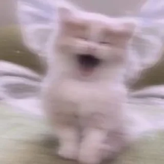 Sticker План скам - 11