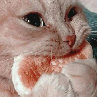 Sticker План скам - 0