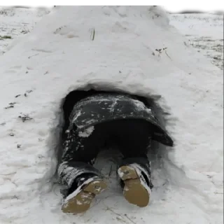 Стикер Планета обезьян - 2