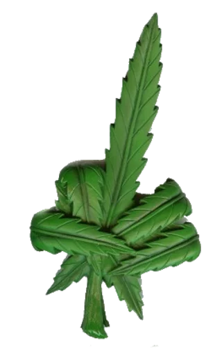 растение рисование наземное растение