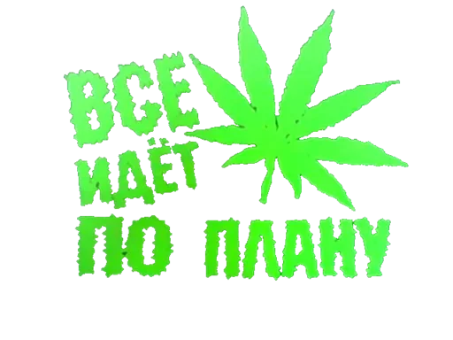 PLAN - мультфильм