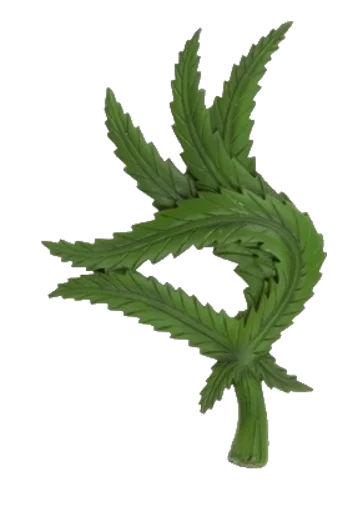 растение лист