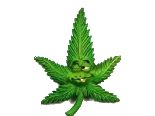 трава растение цветок