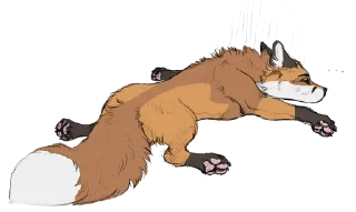 Sticker Plato Fox - 8