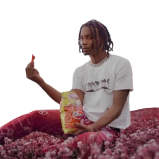 Стикер PlayboiCarti by @dxxmshxxp - 0