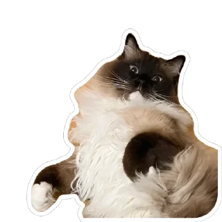 Sticker Плин - 2