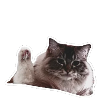 Sticker Плин - 10