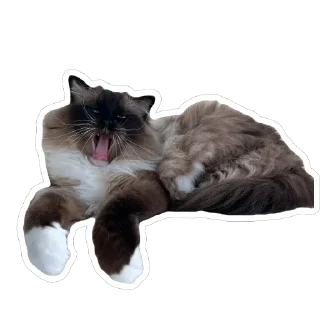 Sticker Плин - 3