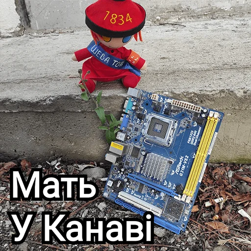 СМС одежда земля